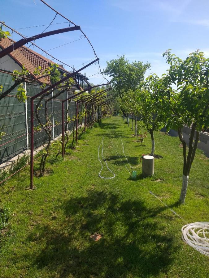 Cabanele Deltei Dunavăţu de Jos المظهر الخارجي الصورة