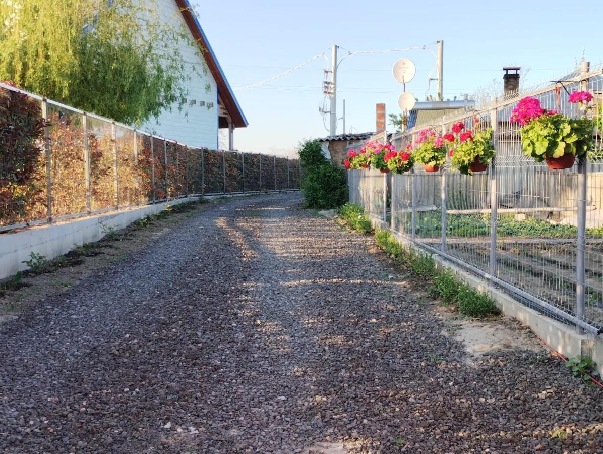 Cabanele Deltei Dunavăţu de Jos المظهر الخارجي الصورة