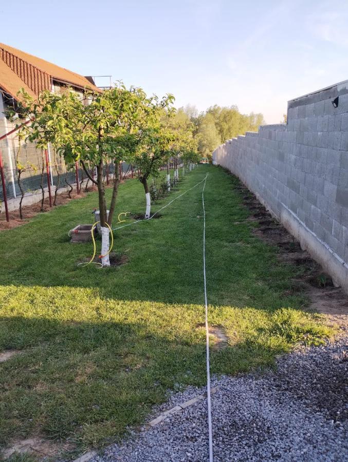 Cabanele Deltei Dunavăţu de Jos المظهر الخارجي الصورة